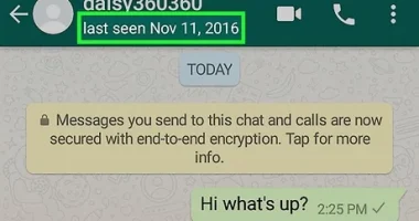 How to Check Someone WhatsApp Last Seen