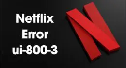 16601028538465282 netflix error ui 800 3